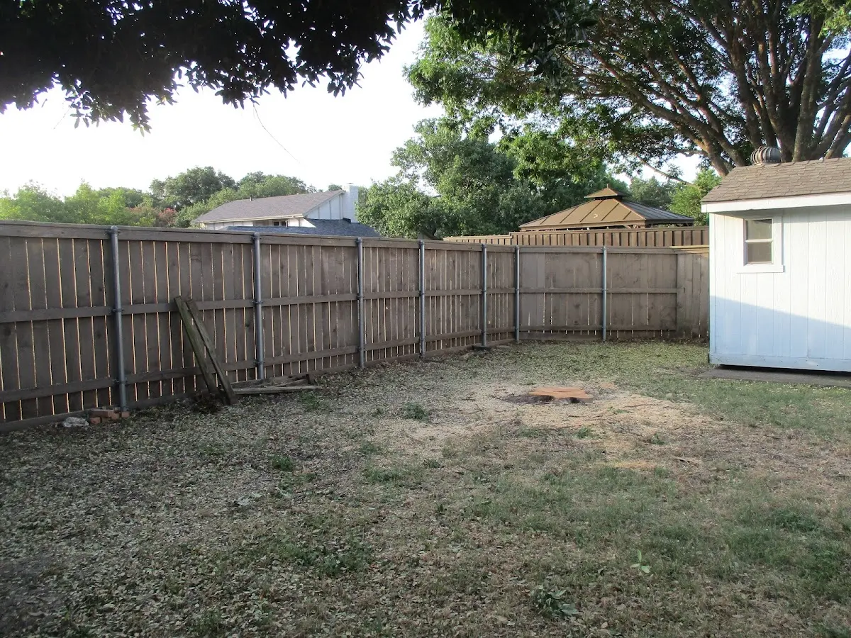 Cleared yard after professional tree removal in Brookville
