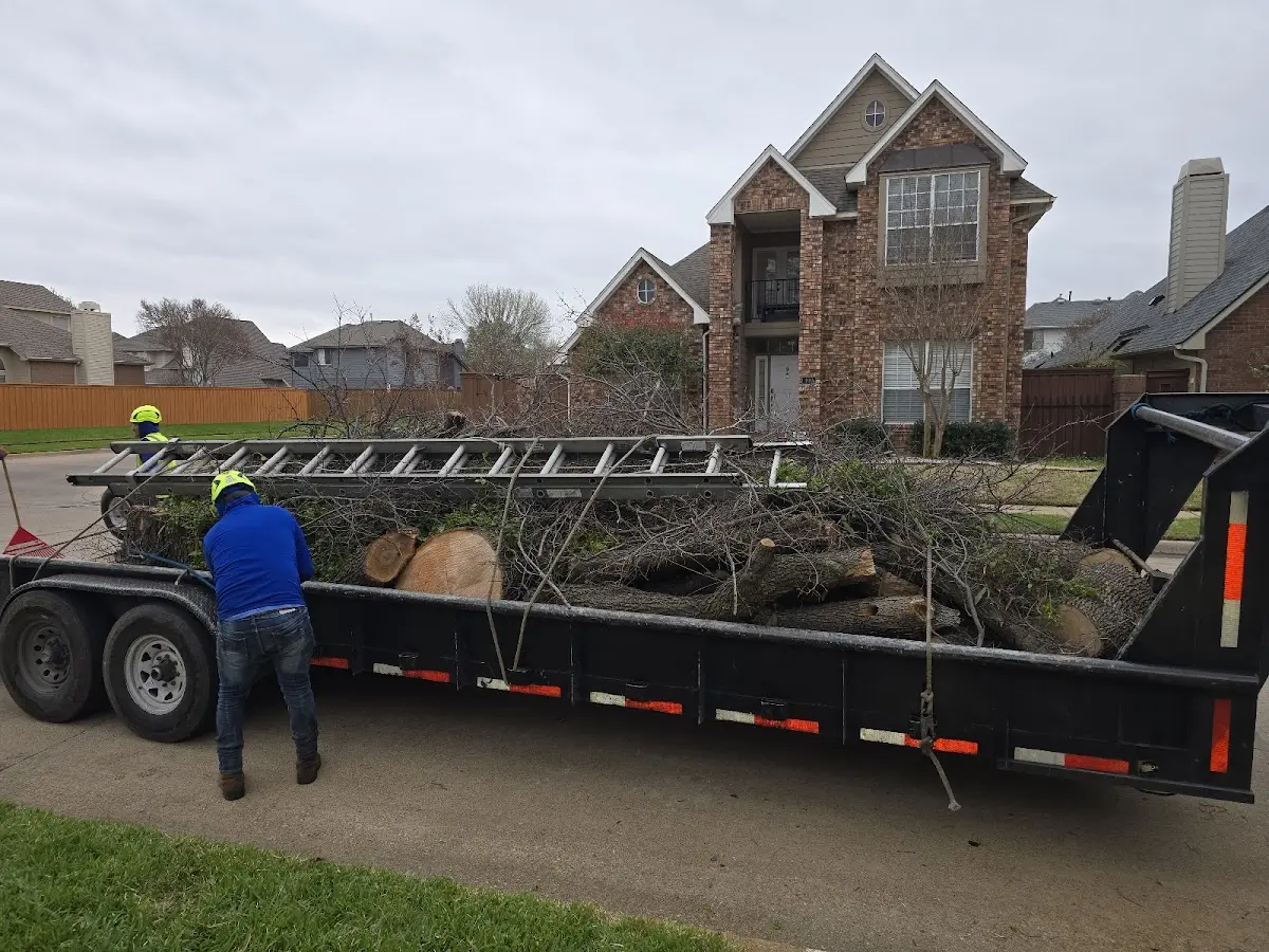 Expert Lot Clearing with proper safety equipment in Brookville